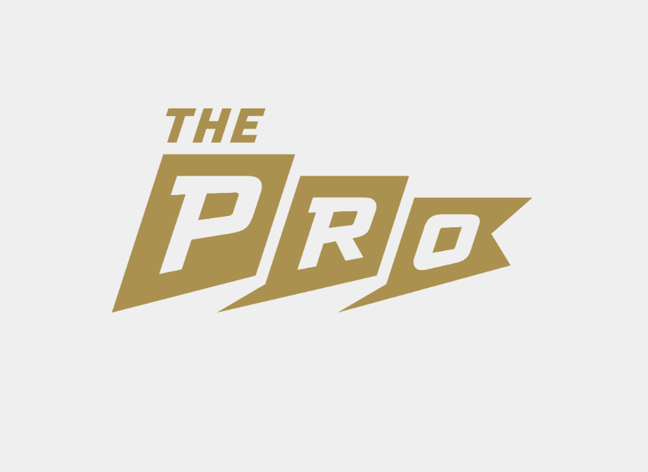 THE PRO FTB